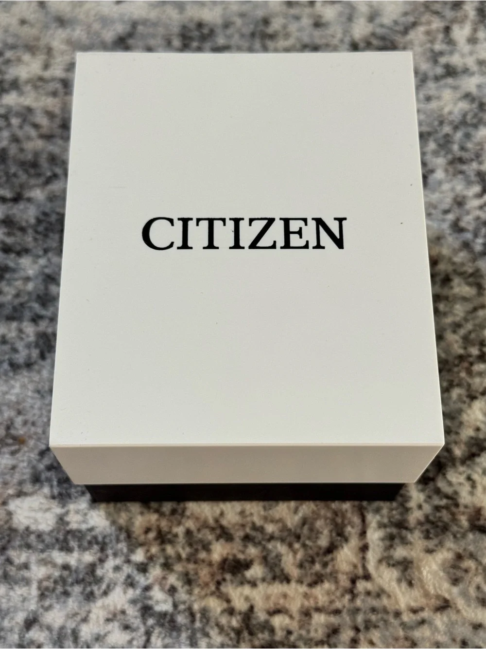 Citizen Black Stainless Steel Men's Eco-Drive Watch